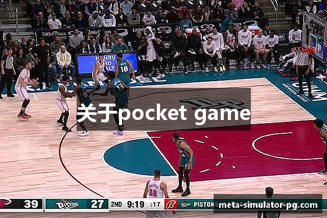 关于pocket game